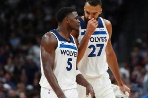 betvictor伟德(中国)唯一官方网站-球队归属权仍待定夺 森林狼休赛期难掀大风大浪